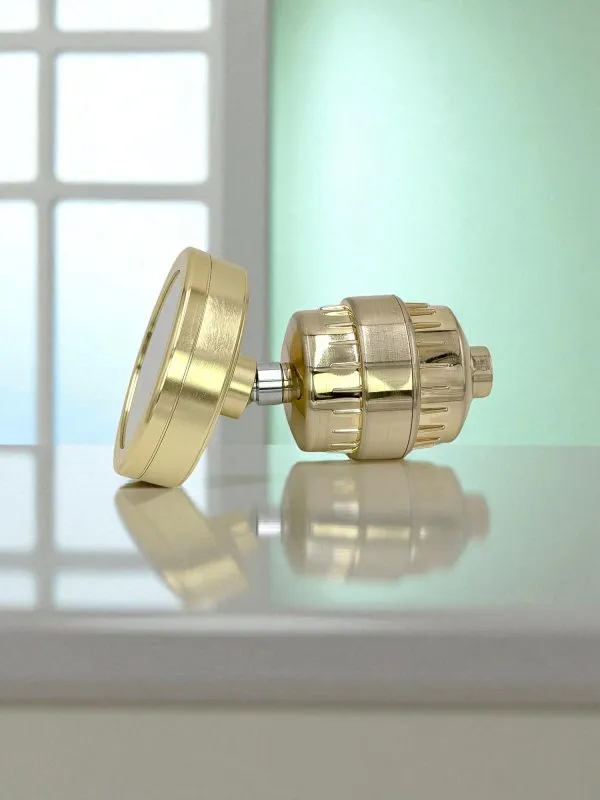 Set de filtros de ducha británico (Oro)